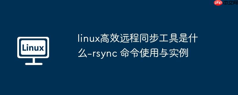 linux高效远程同步工具是什么-rsync 命令使用与实例