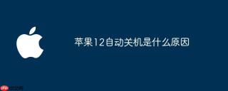 苹果12自动关机是什么原因