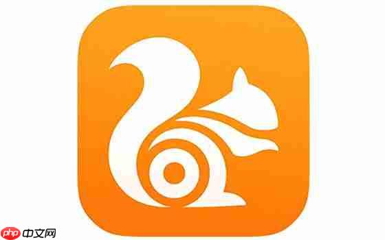 UC浏览器怎么自动进入智能小说模式 详细方法介绍