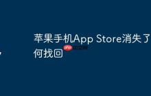 苹果手机App Store消失了如何找回