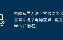 电脑蓝屏无法正常启动怎么重装系统?电脑蓝屏U盘重装Win11教程