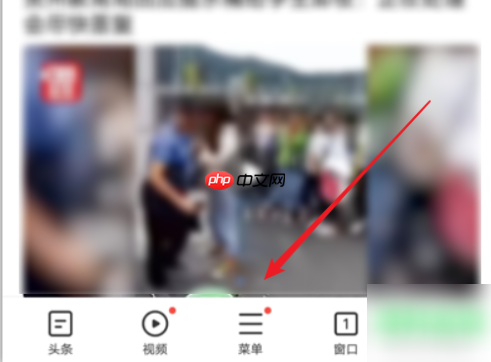 vivo浏览器怎么看下载记录 vivo浏览器查看下载目录方法