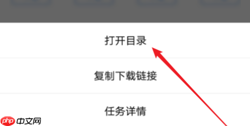 vivo浏览器怎么看下载记录 vivo浏览器查看下载目录方法