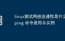 linux测试网络连通性是什么-ping 命令使用与实例