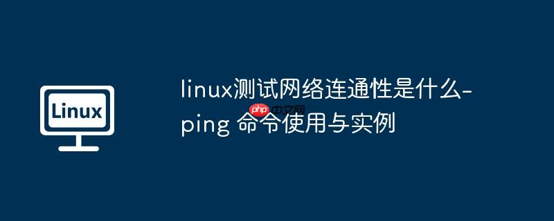 linux测试网络连通性是什么-ping 命令使用与实例
