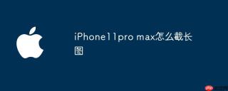 iphone11pro max怎么截长图