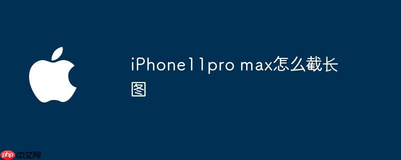 iPhone11pro max怎么截长图