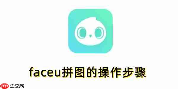 faceu怎么拼图？faceu拼图的操作步骤