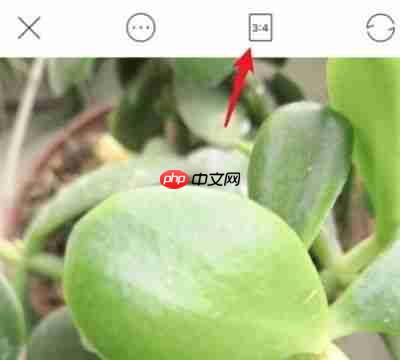 faceu怎么拼图？faceu拼图的操作步骤