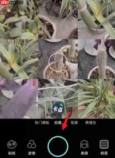 faceu怎么拼图？faceu拼图的操作步骤