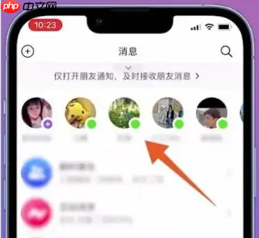 抖音怎么看好友在不在线  抖音看好友在不在线的教程
