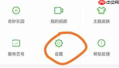 爱奇艺切换会员 爱奇艺切换账号怎么切换小米手机