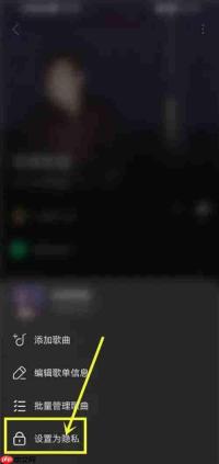 汽水音乐怎么设置歌单仅自己可见?汽水音乐设置歌单仅自己可见的方法