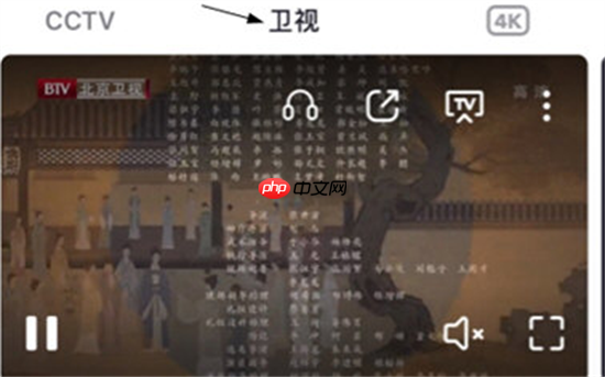 央视频如何查看卫视回放?央视频查看卫视回放的方法