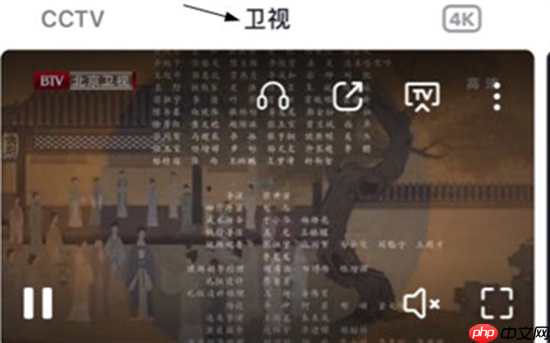央视频如何查看卫视回放?央视频查看卫视回放的方法