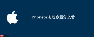 iPhone5s电池容量怎么看