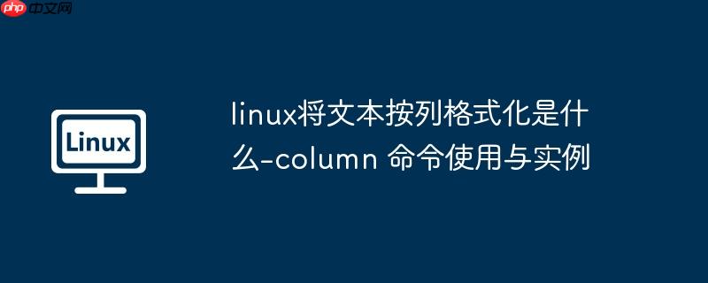 linux将文本按列格式化是什么-column 命令使用与实例