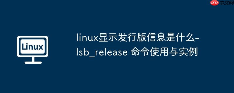 linux显示发行版信息是什么-lsb_release 命令使用与实例
