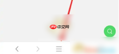 alook怎么取消小窗口播放 alook浏览器关闭视频悬窗教程