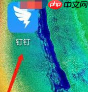 钉钉怎么下载安全白皮书？钉钉下载安全白皮书的方法