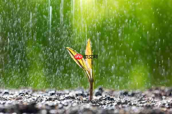 雷军雨天坚持健身房打卡：上热搜了