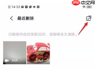 vivo浏览器视频删除了怎么恢复 操作方法介绍