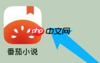 番茄小说怎么设置性别？番茄小说设置性别的方法
