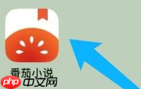 番茄小说怎么设置性别？番茄小说设置性别的方法