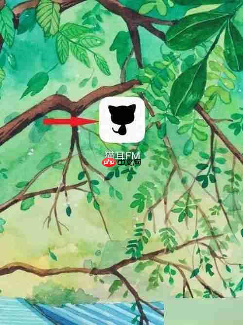 猫耳fm怎么设置头像音?猫耳fm设置头像音方法