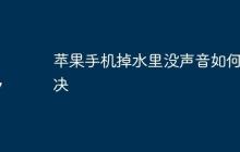 苹果手机掉水里没声音如何解决