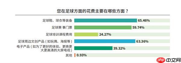 《中国足球环境及未来发展白皮书（2025）》发布：100吋大屏电视成球迷客厅新标配
