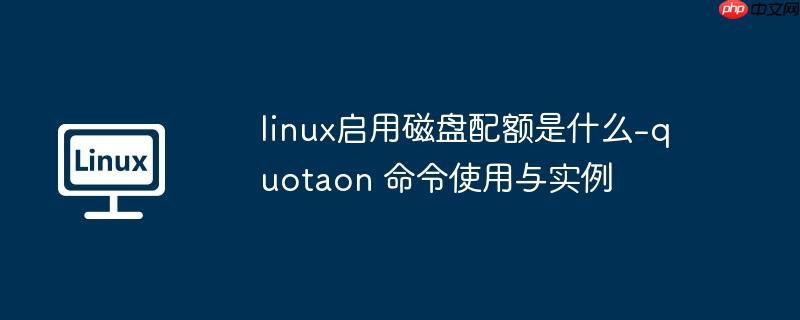linux启用磁盘配额是什么-quotaon 命令使用与实例
