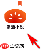 番茄小说如何点击关注小说作者？番茄小说点击关注小说作者的方法