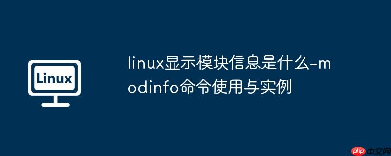 linux显示模块信息是什么-modinfo命令使用与实例