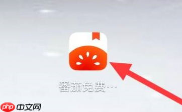 番茄小说如何查看现实小说热门标签？番茄小说查看现实小说热门标签的方法