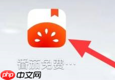 番茄小说怎样查看影视小说热门标签？番茄小说查看影视小说热门标签的方法