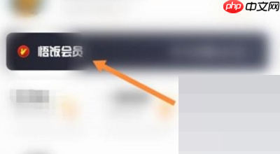 悟饭游戏厅怎么开通会员？悟饭游戏厅开通会员教程