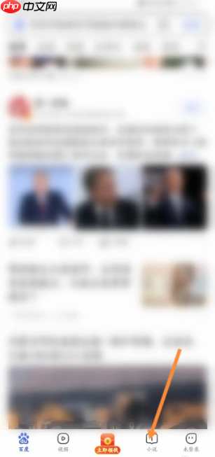 百度极速版怎么开通小说会员  百度极速版开通小说会员方法