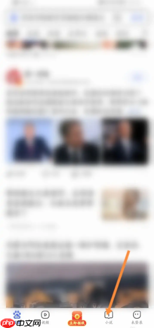 百度极速版怎么开通小说会员  百度极速版开通小说会员方法