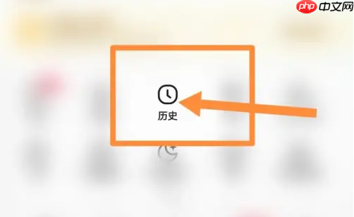 vivo浏览器历史记录删除如何查找 vivo浏览器历史记录恢复教程