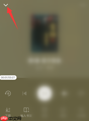 番茄小说如何听小说语音朗读？番茄小说听小说语音朗读的方法
