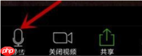 Zoom视频会议如何关闭我的麦克风？Zoom视频会议关闭我的麦克风的方法