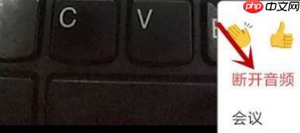 Zoom视频会议如何关闭我的麦克风？Zoom视频会议关闭我的麦克风的方法