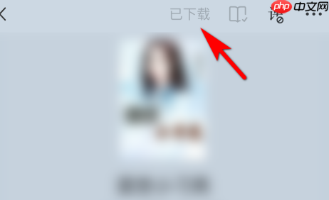 番茄小说怎样点击下载小说章节？番茄小说点击下载小说章节的方法