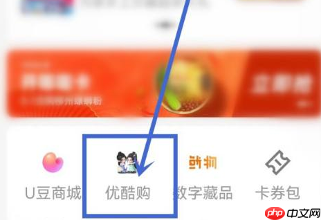 优酷我的订单在什么地方？优酷中找到我的订单的详细步骤