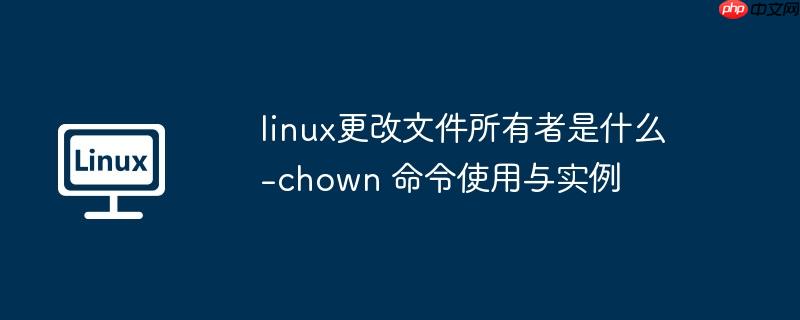 linux更改文件所有者是什么-chown 命令使用与实例