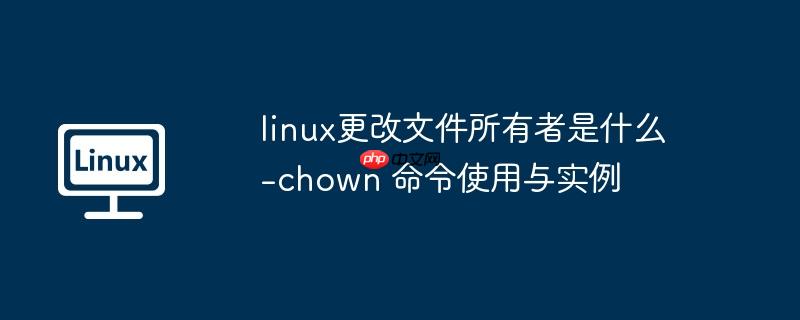 linux更改文件所有者是什么-chown 命令使用与实例