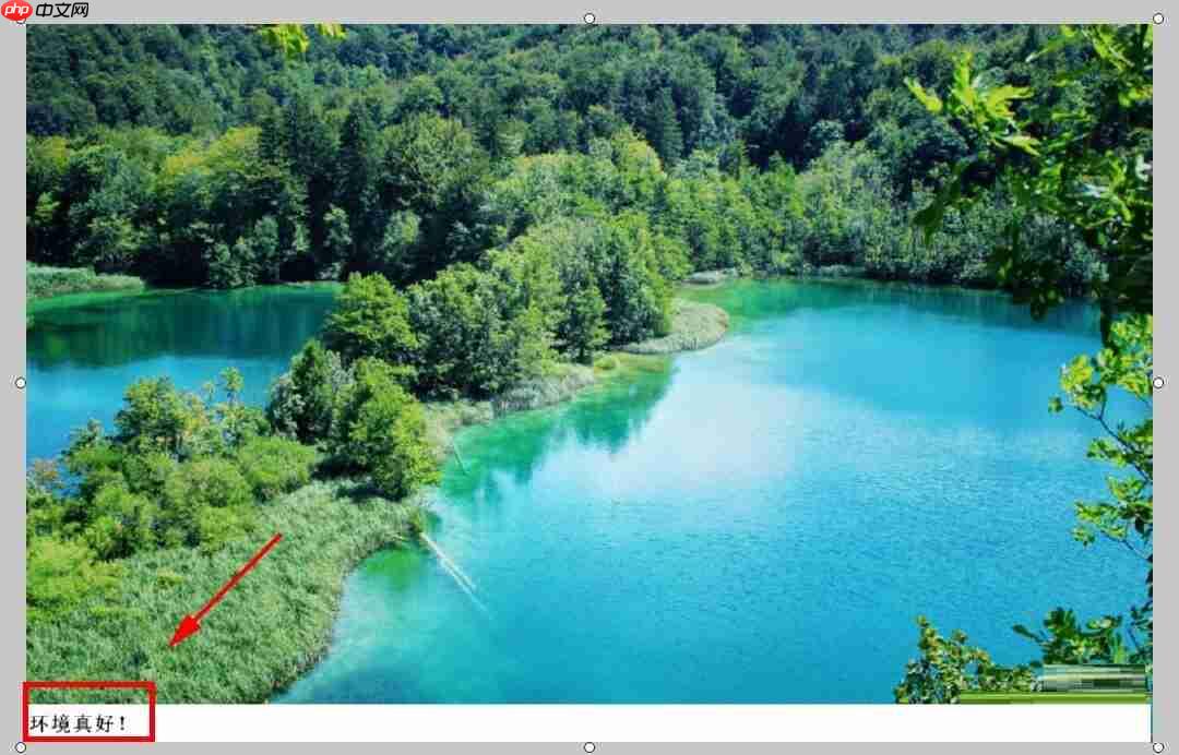 FastStone Capture怎么设置自动标题