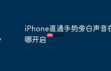 iPhone直通手势旁白声音在哪开启