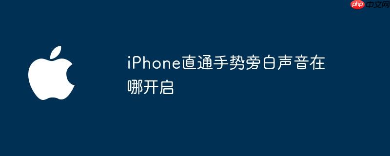 iphone直通手势旁白声音在哪开启